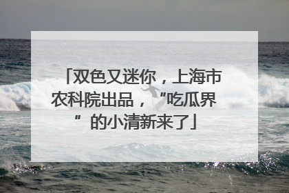 双色又迷你，上海市农科院出品，“吃瓜界”的小清新来了