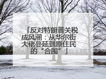 反对特朗普关税成风潮：从华尔街大佬蔓延到原住民的“合围”