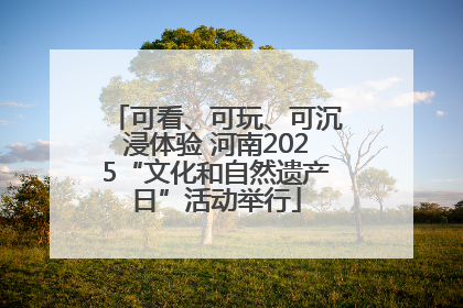 可看、可玩、可沉浸体验 河南2025“文化和自然遗产日”活动举行