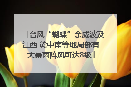 台风“蝴蝶”余威波及江西 赣中南等地局部有大暴雨阵风可达8级