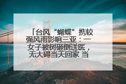 台风“蝴蝶”携较强风雨影响三亚：一女子被树砸倒送医，无大碍当天回家 当地已紧急清障