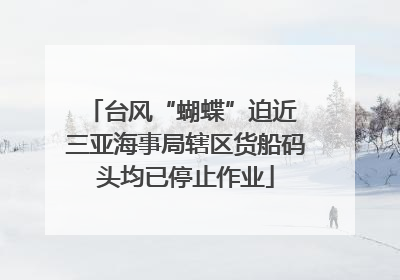 台风“蝴蝶”迫近 三亚海事局辖区货船码头均已停止作业