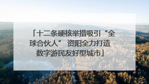 十二条硬核举措吸引“全球合伙人” 资阳全力打造数字游民友好型城市