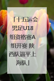 十五运会男足U18组资格赛A组开赛 陕西队逼平上海队