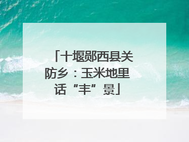 十堰郧西县关防乡：玉米地里话“丰”景