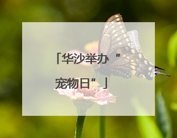 华沙举办“宠物日”