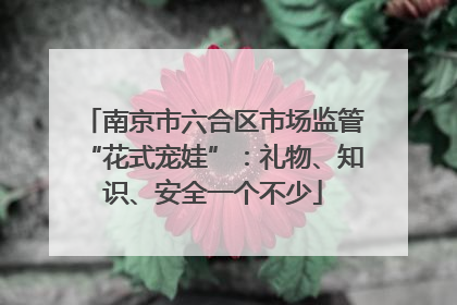 南京市六合区市场监管“花式宠娃”：礼物、知识、安全一个不少