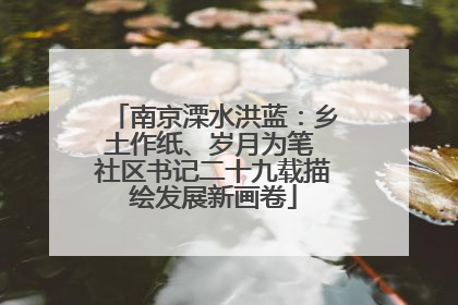 南京溧水洪蓝：乡土作纸、岁月为笔 社区书记二十九载描绘发展新画卷