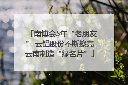 南博会5年“老朋友” 云铝股份不断擦亮云南制造“绿名片”