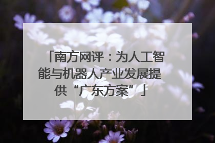 南方网评：为人工智能与机器人产业发展提供“广东方案”