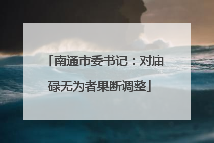 南通市委书记：对庸碌无为者果断调整