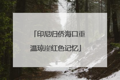 印尼归侨海口重温琼崖红色记忆