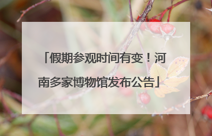 假期参观时间有变！河南多家博物馆发布公告