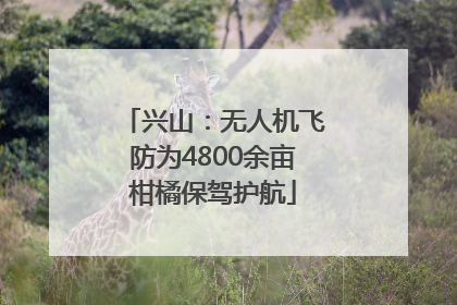 兴山：无人机飞防为4800余亩柑橘保驾护航