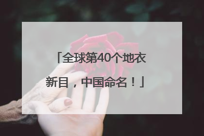 全球第40个地衣新目，中国命名！