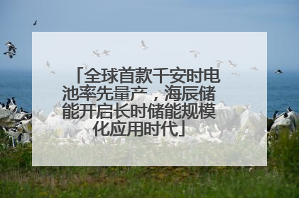 全球首款千安时电池率先量产，海辰储能开启长时储能规模化应用时代
