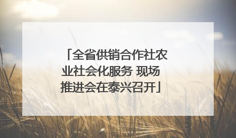 全省供销合作社农业社会化服务 现场推进会在泰兴召开