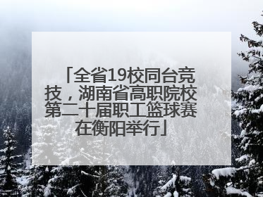 全省19校同台竞技，湖南省高职院校第二十届职工篮球赛在衡阳举行