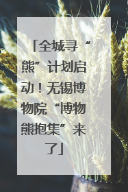 全城寻“熊”计划启动！无锡博物院“博物熊抱集”来了