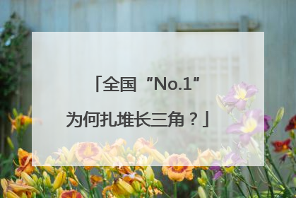 全国“No.1”为何扎堆长三角？