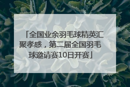 全国业余羽毛球精英汇聚孝感，第二届全国羽毛球邀请赛10日开赛