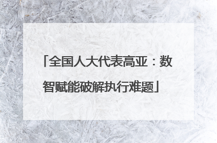 全国人大代表高亚：数智赋能破解执行难题