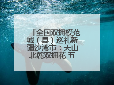 全国双拥模范城（县）巡礼新疆沙湾市：天山北麓双拥花 五届蝉联铸辉煌