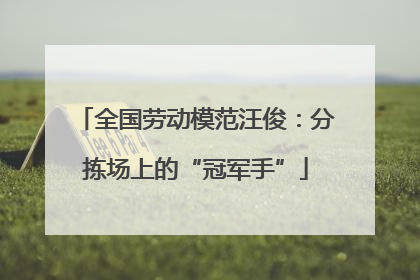全国劳动模范汪俊：分拣场上的“冠军手”