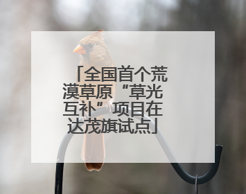 全国首个荒漠草原“草光互补”项目在达茂旗试点