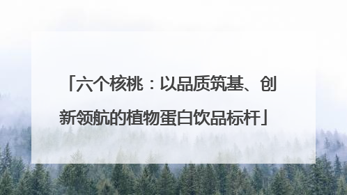 六个核桃：以品质筑基、创新领航的植物蛋白饮品标杆