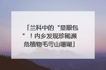 兰科中的“显眼包”！内乡发现珍稀濒危植物毛萼山珊瑚