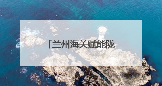 兰州海关赋能陇原“甘味”香飘“一带一路”