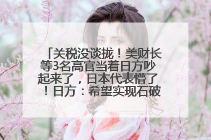 关税没谈拢！美财长等3名高官当着日方吵起来了，日本代表懵了！日方：希望实现石破茂与特朗普的会晤