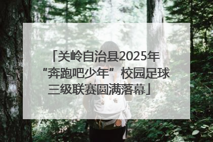 关岭自治县2025年“奔跑吧少年”校园足球三级联赛圆满落幕