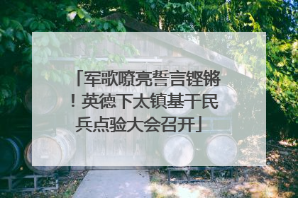 军歌嘹亮誓言铿锵！英德下太镇基干民兵点验大会召开