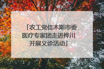 农工党佳木斯市委医疗专家团走进桦川开展义诊活动