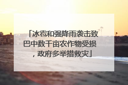 冰雹和强降雨袭击致巴中数千亩农作物受损，政府多举措救灾