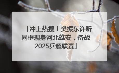 冲上热搜！樊振东许昕同框现身河北雄安，备战2025乒超联赛