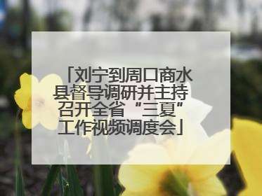 刘宁到周口商水县督导调研并主持召开全省“三夏”工作视频调度会