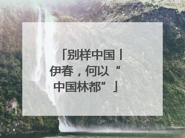 别样中国丨伊春，何以“中国林都”