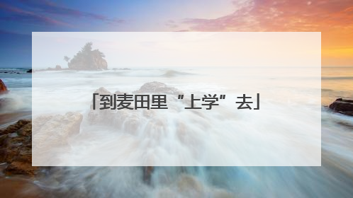 到麦田里“上学”去