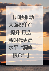 加快推动大面积单产提升 打造新时代更高水平“洞庭粮仓”