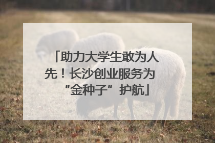 助力大学生敢为人先！长沙创业服务为“金种子”护航
