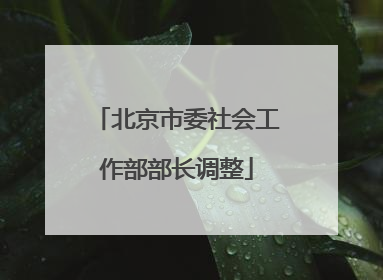 北京市委社会工作部部长调整