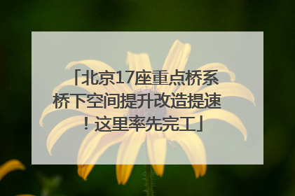 北京17座重点桥系桥下空间提升改造提速！这里率先完工