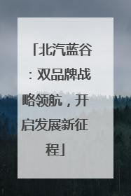北汽蓝谷：双品牌战略领航，开启发展新征程
