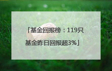 基金回报榜：119只基金昨日回报超3%