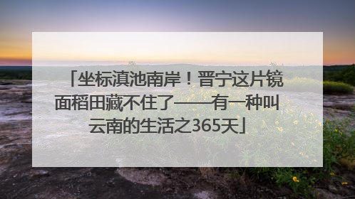 坐标滇池南岸！晋宁这片镜面稻田藏不住了——有一种叫云南的生活之365天