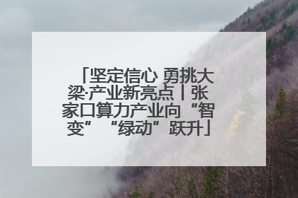 坚定信心 勇挑大梁·产业新亮点丨张家口算力产业向“智变”“绿动”跃升