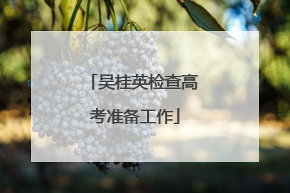 吴桂英检查高考准备工作